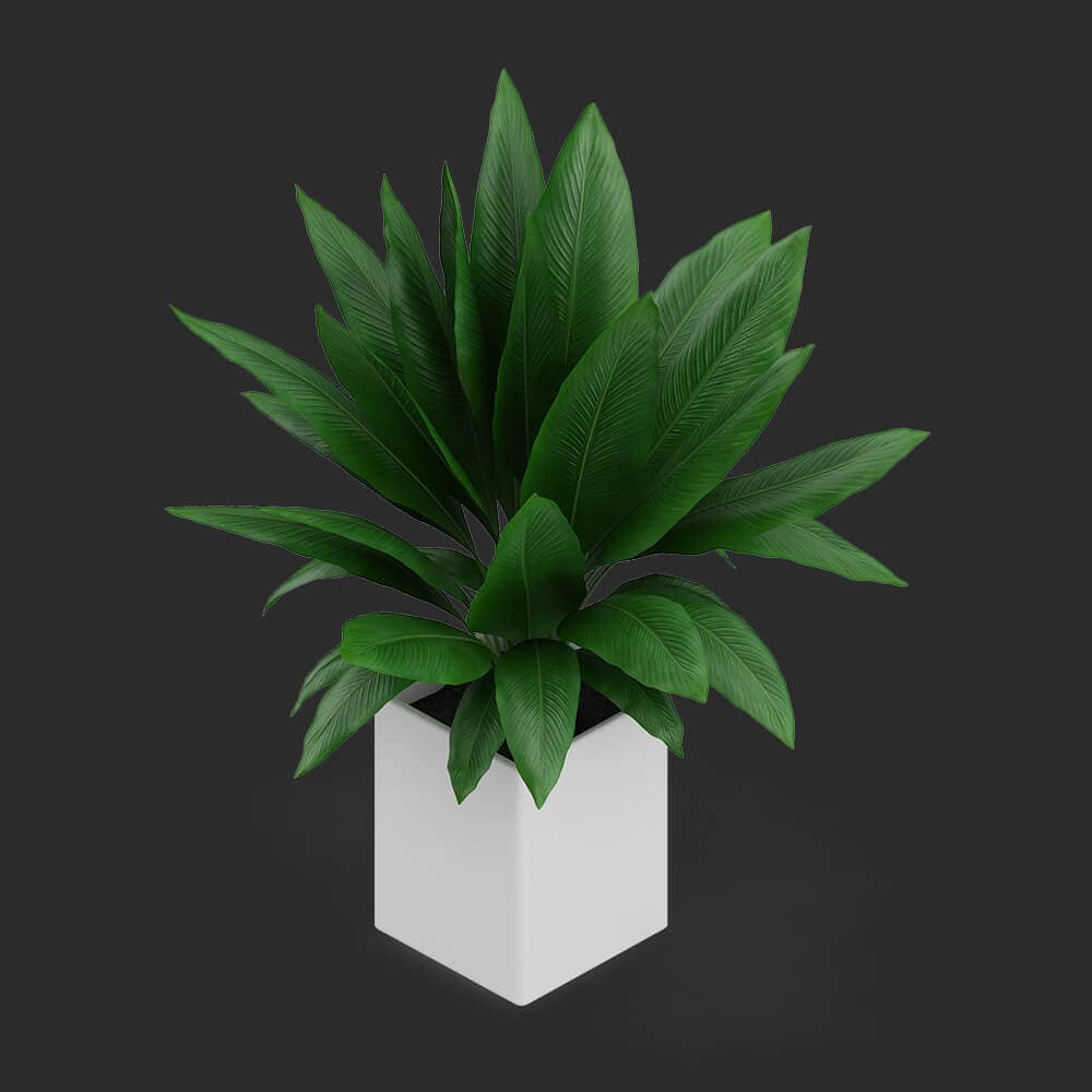 Modern Leaf